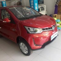 中秋團圓節(jié)，送父母選雷丁電動汽車，大品牌，高品質質量有保障