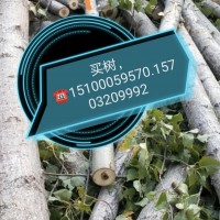 買樹，?? 15100059570