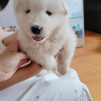 物品買賣?。?！